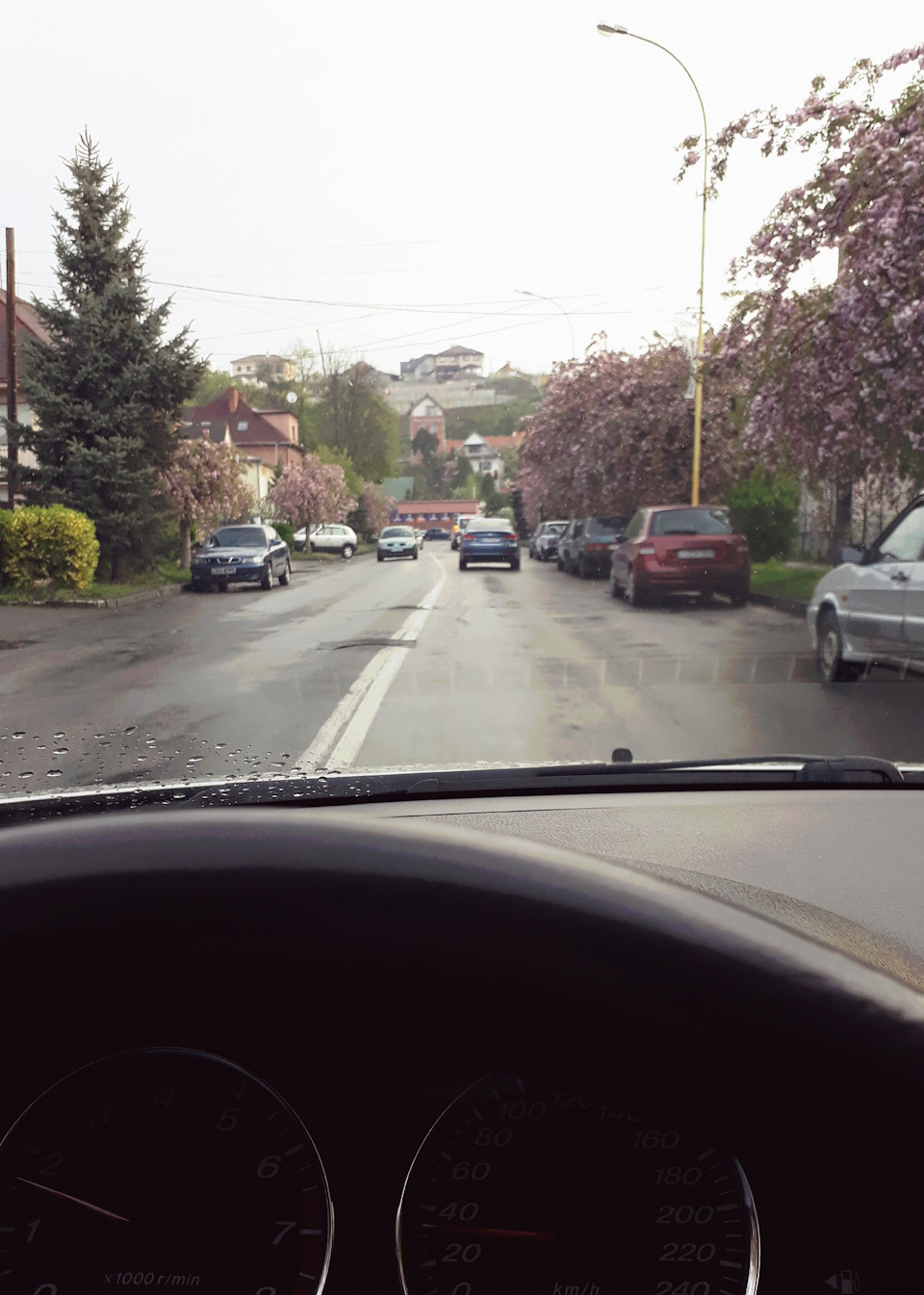Ранок, весна😊 1