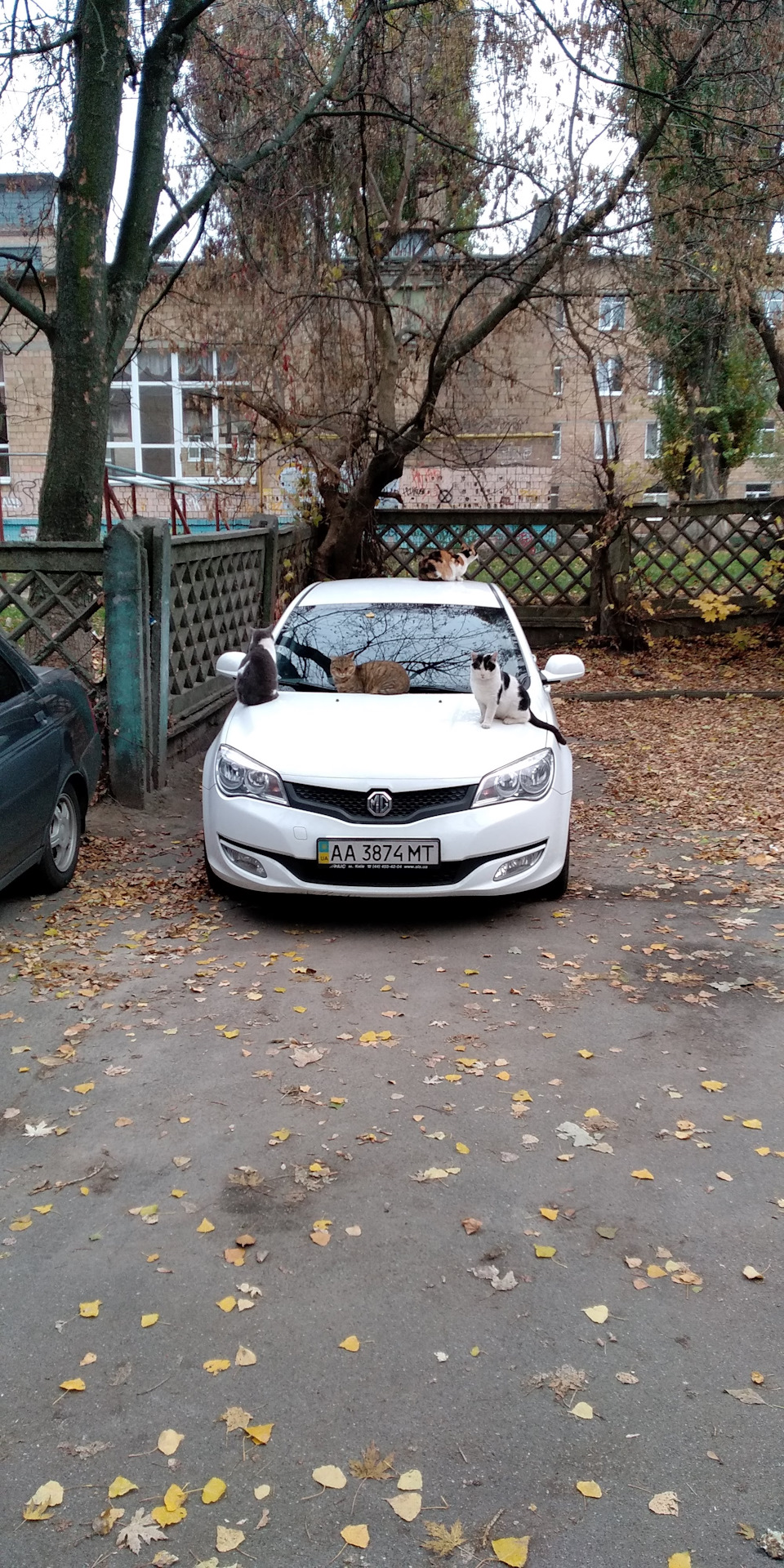 Холодно ставати, настав час міняти тапки. 1