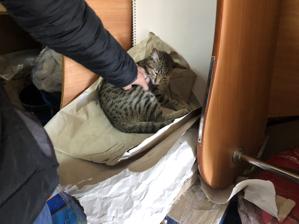 Небольшое, но геморное ТО 4