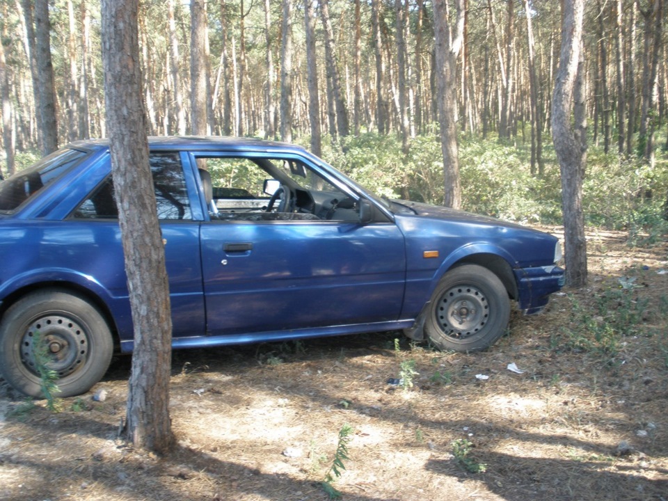 просто фотки) 2