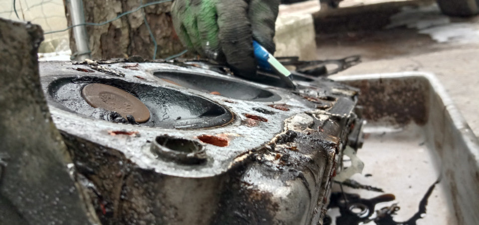 Розкрив голову 2