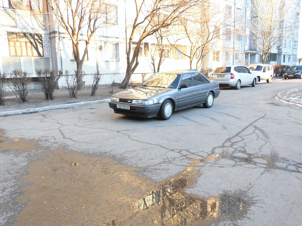 маздочки помилися ) 4