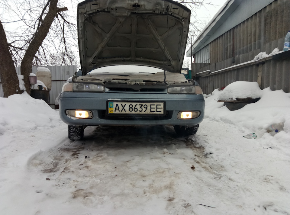Здійснилося! 2