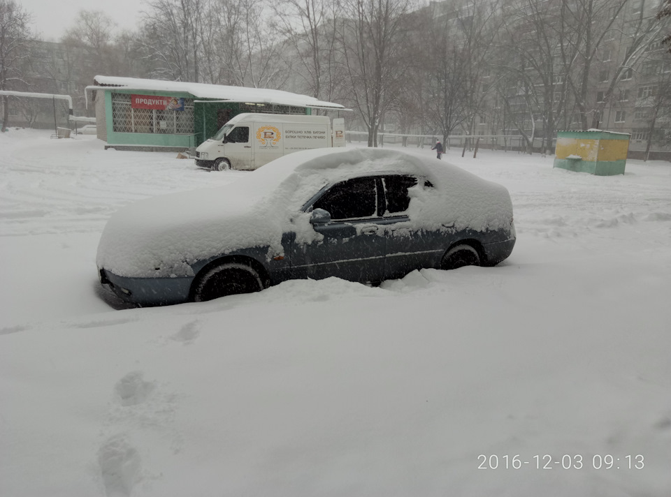 зима 2016 1