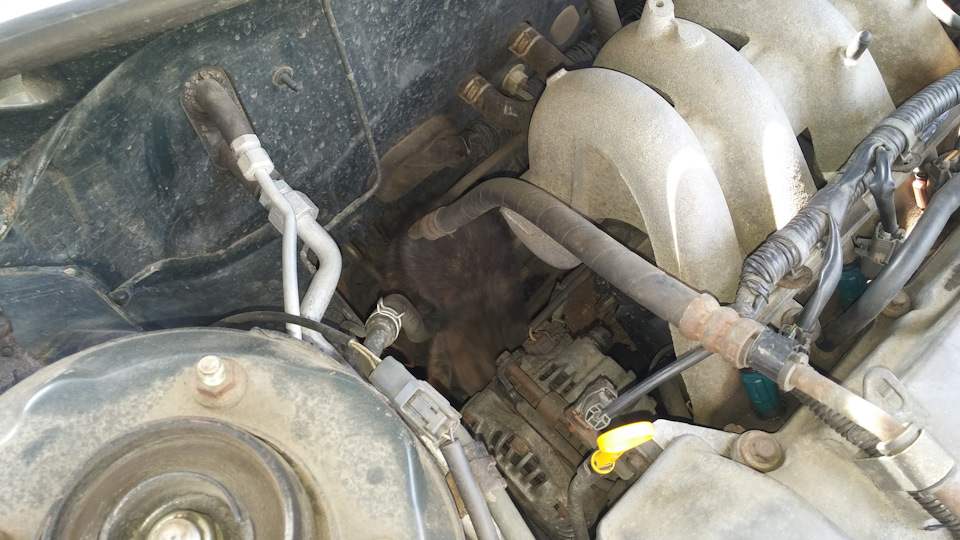 Перевірка рівня мастила… 1