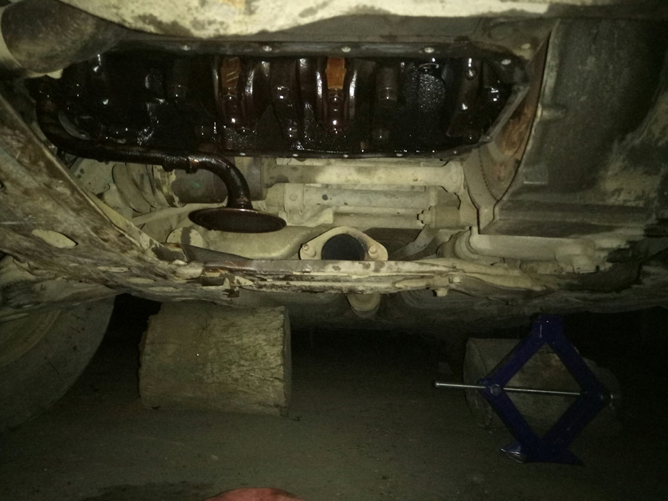 Змінив кільця і ​​звір ожив 5