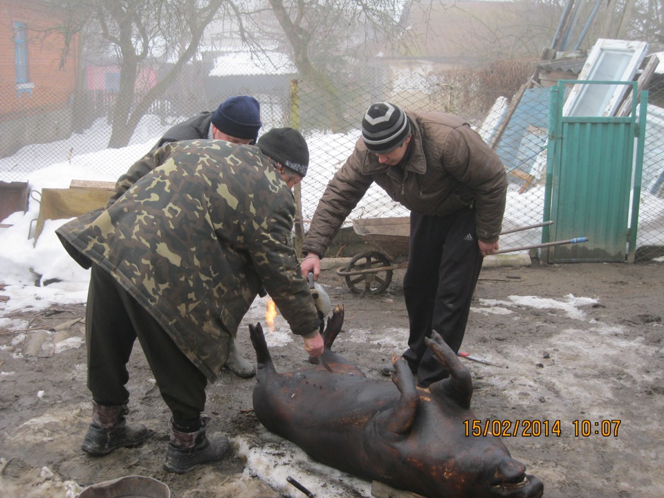 Приємна та потрібна поїздка 5