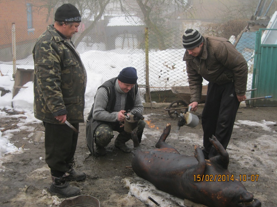 Приємна та потрібна поїздка 4