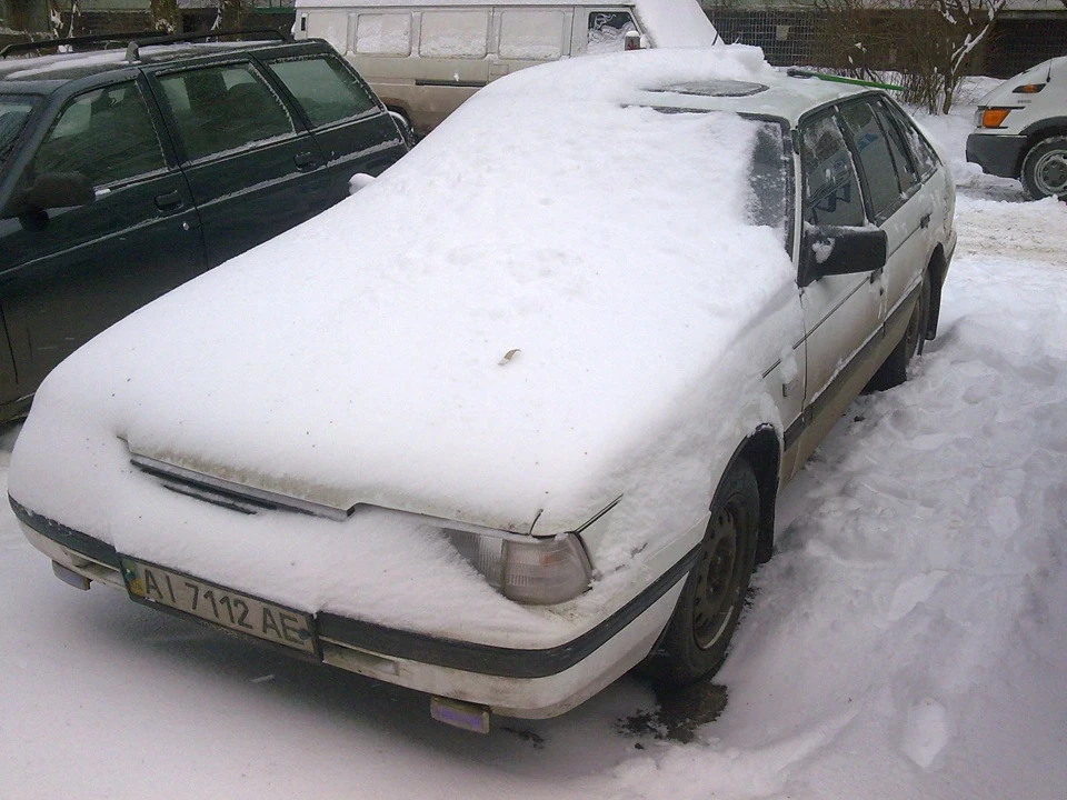 Читрохи присипало