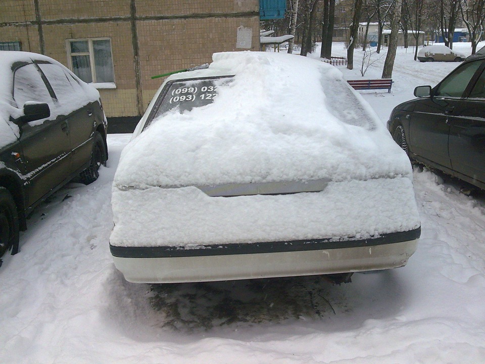 Читрохи присипало 3