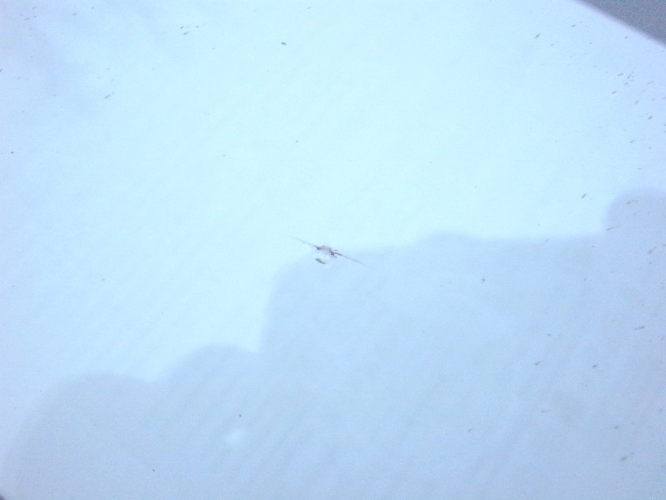 Маленька неприємність... 2