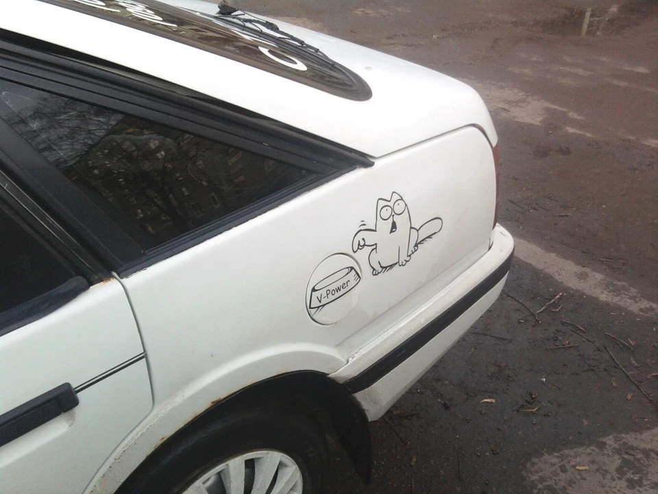Simon's Cat