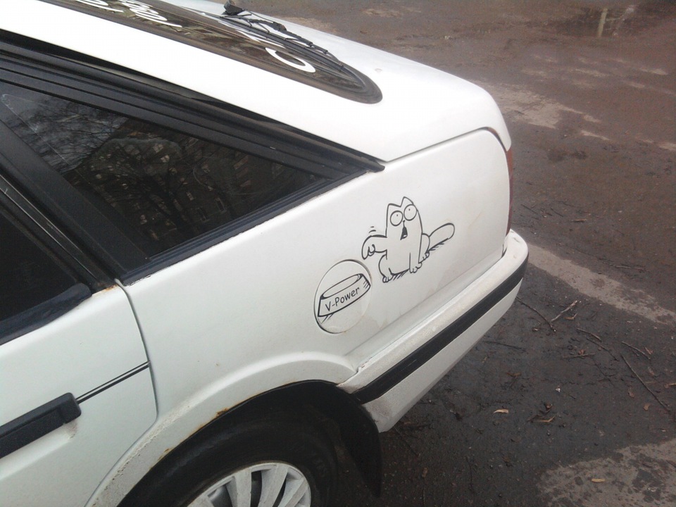 Simon's Cat 1
