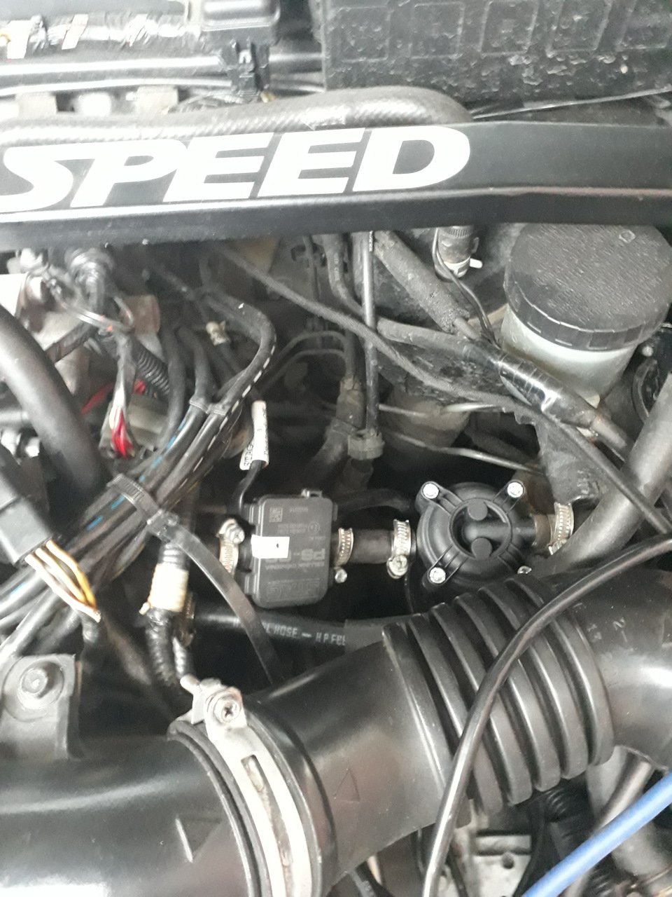 Заміна газових форсунок аля TOMASETTO НА РОЗДІЛЬНІ BARRACUDA mazda 626 gd 5