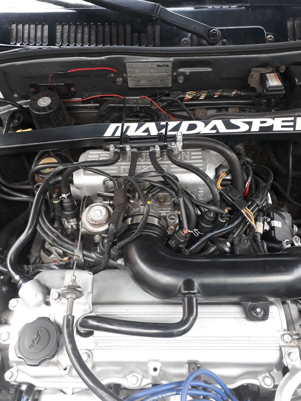 Заміна газових форсунок аля TOMASETTO НА РОЗДІЛЬНІ BARRACUDA mazda 626 gd 4
