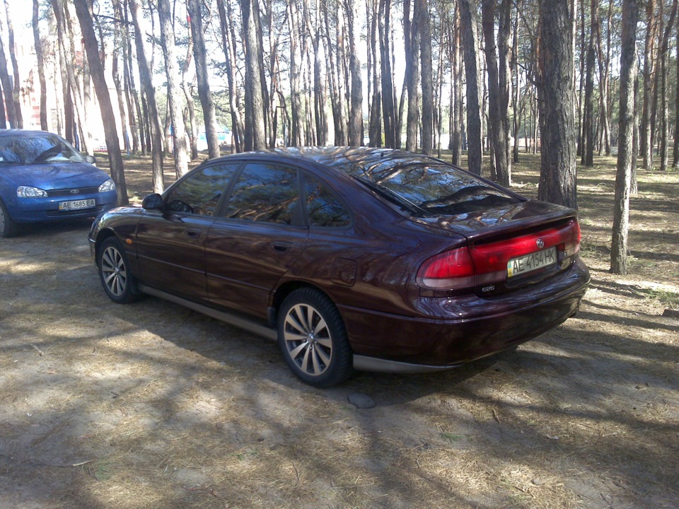 трохи фото з лісу 4