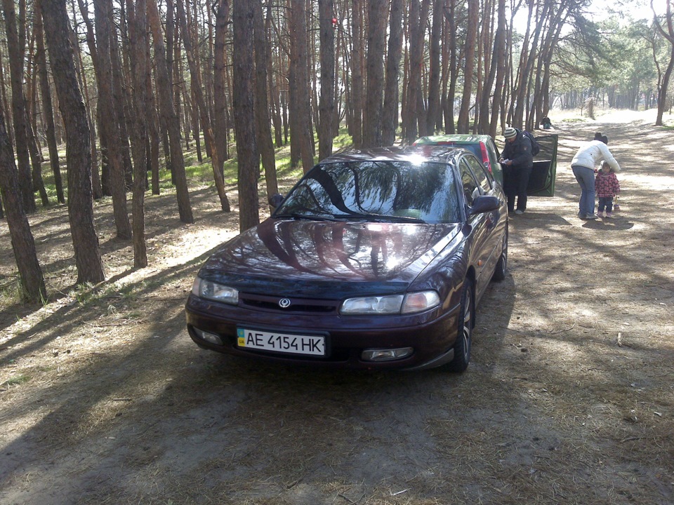 трохи фото з лісу 1