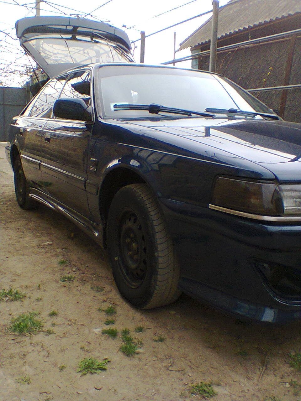 нові фотки та обновки))) 3