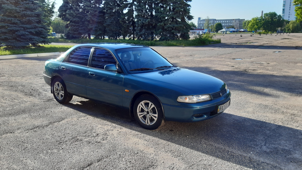 Продал Кіт 3
