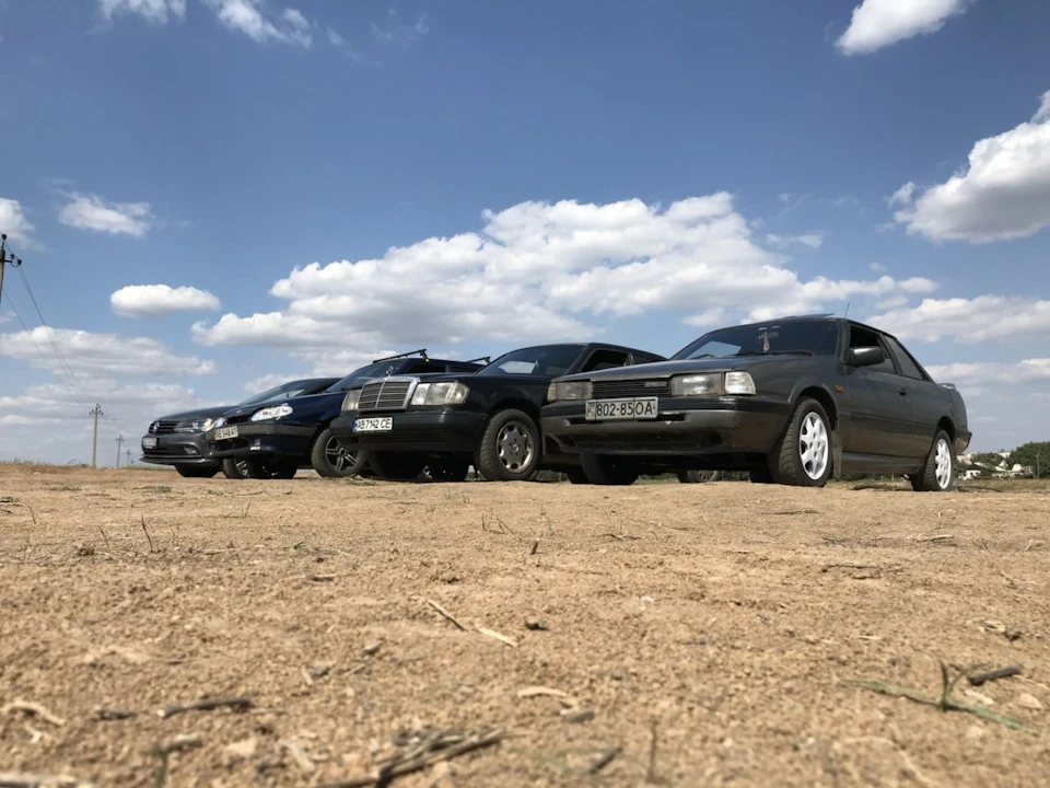 Покотушки