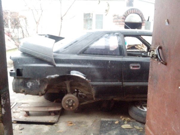 продам оч багато зачатків 3