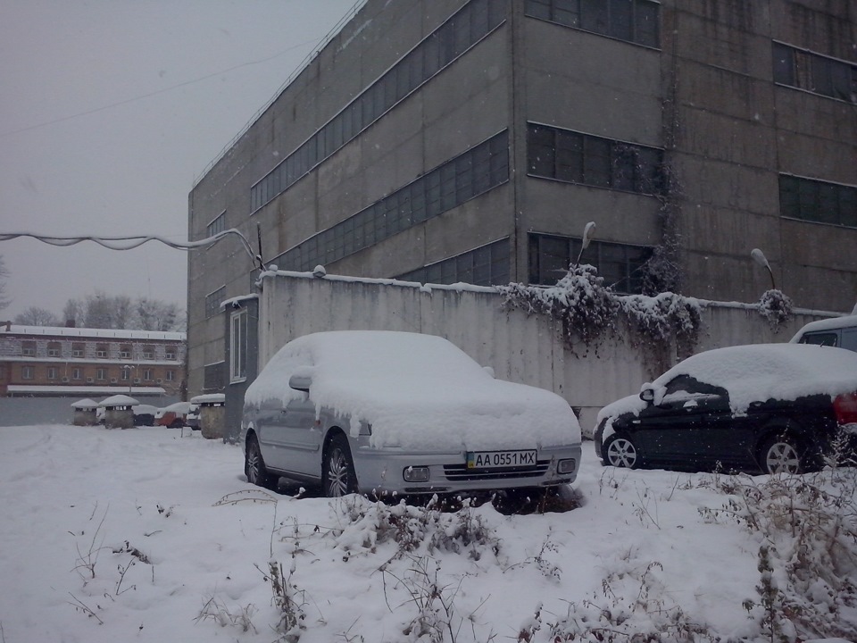 Перший сніг :) 2