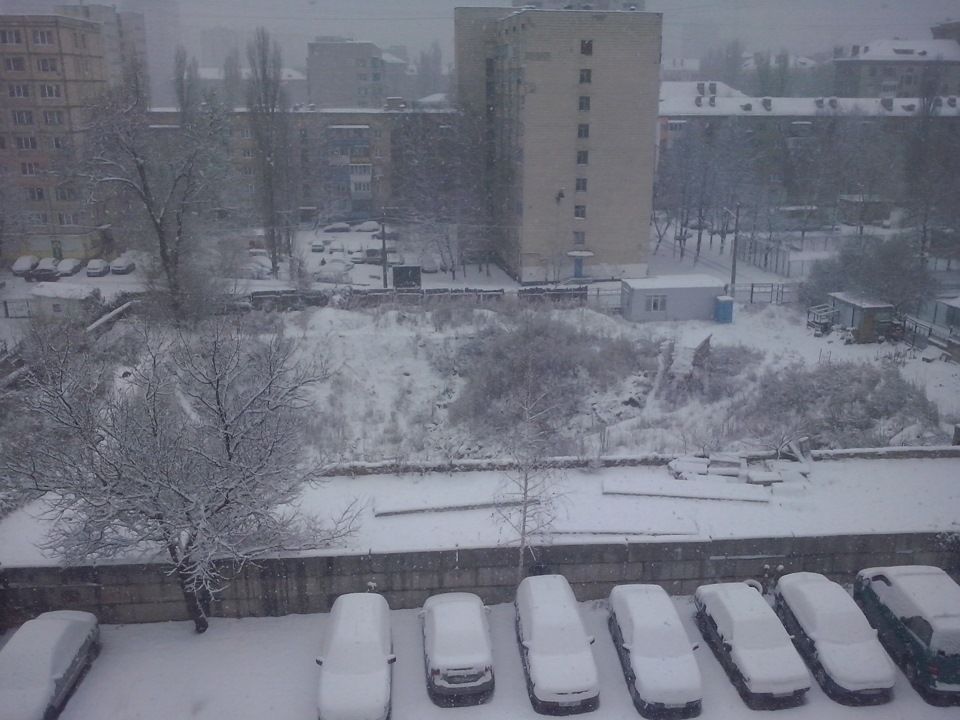Перший сніг :) 1