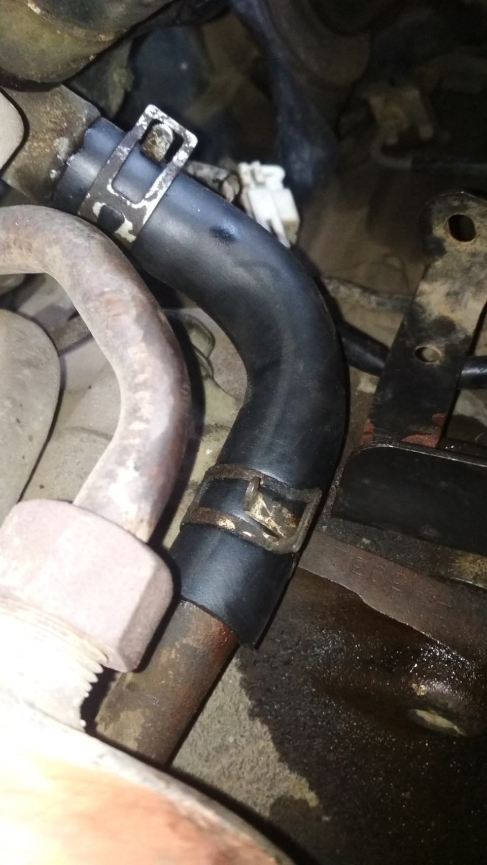 Патрубок, Антефріз Mazda 626 GF 2