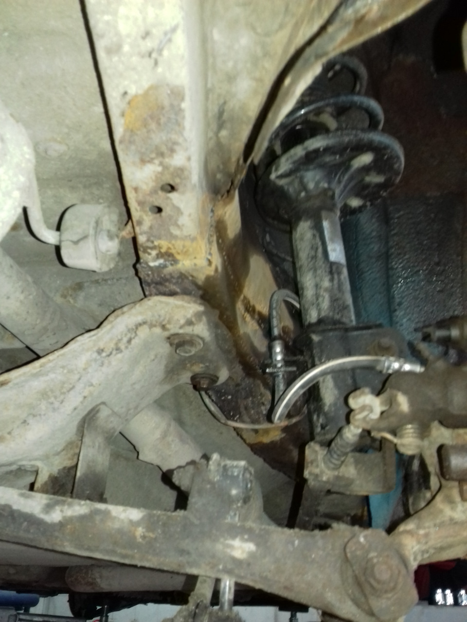 Зовнішній вигляд 1