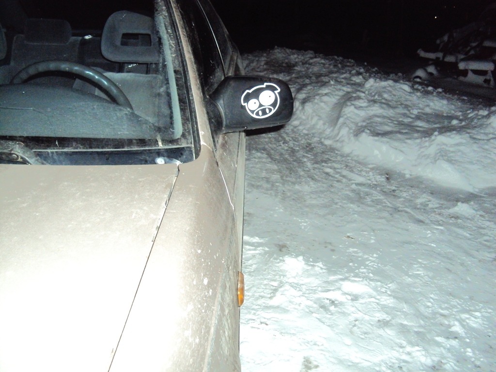 Запис, 25 січня 2011 1
