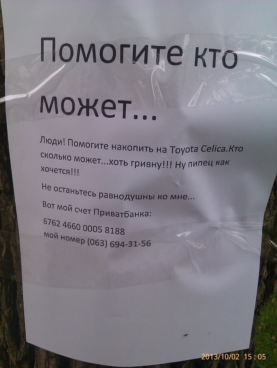 Трохифото ... 1
