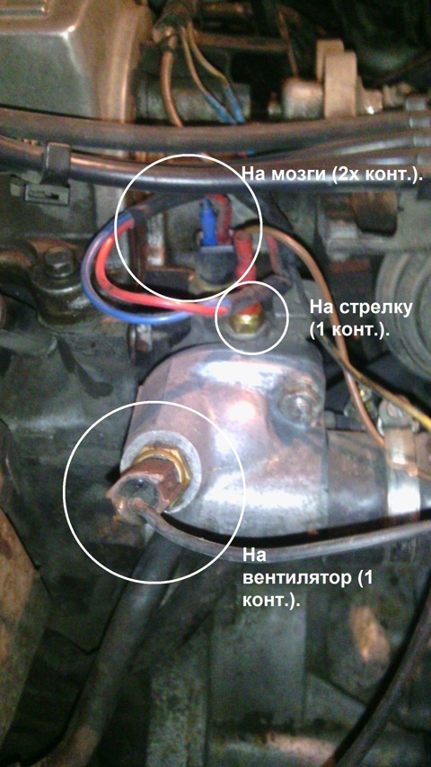 Питання на засипку 1