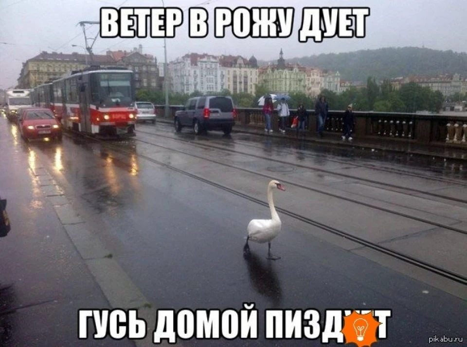 Весела видалася нічка