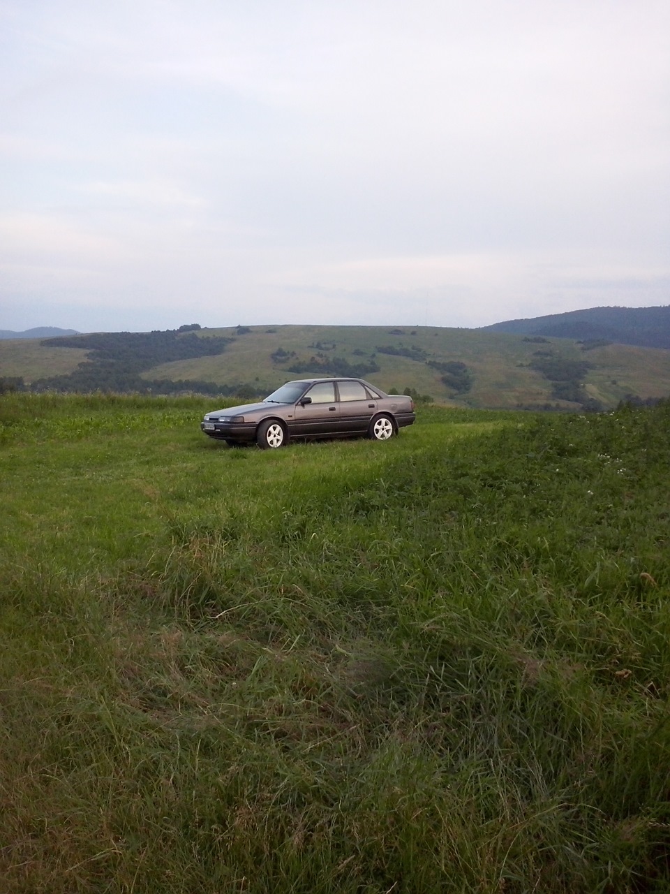 Фото на природі частина 2 2