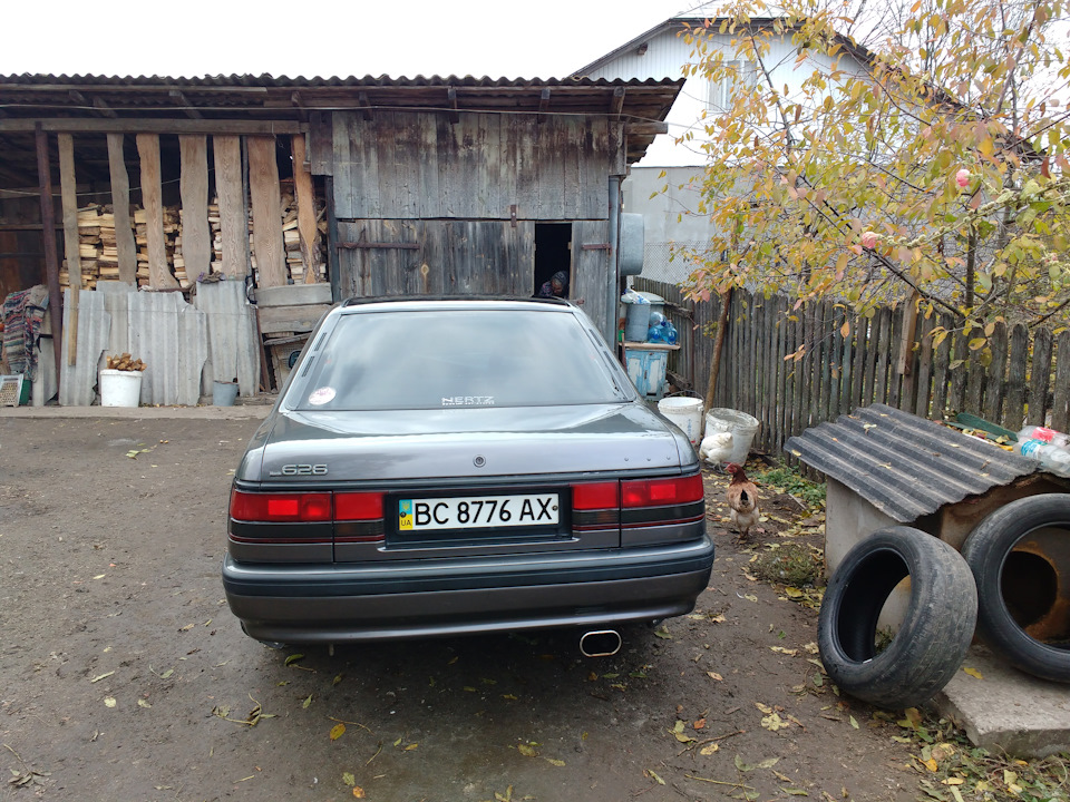 Сіра ведмедик 3