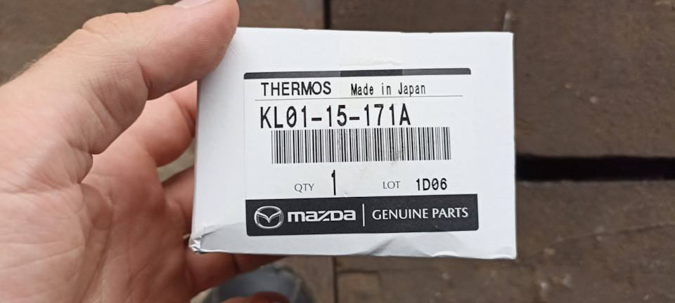 Заміна термостата та ТО 2