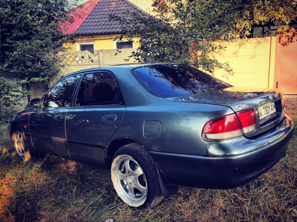 Мої красуні 5