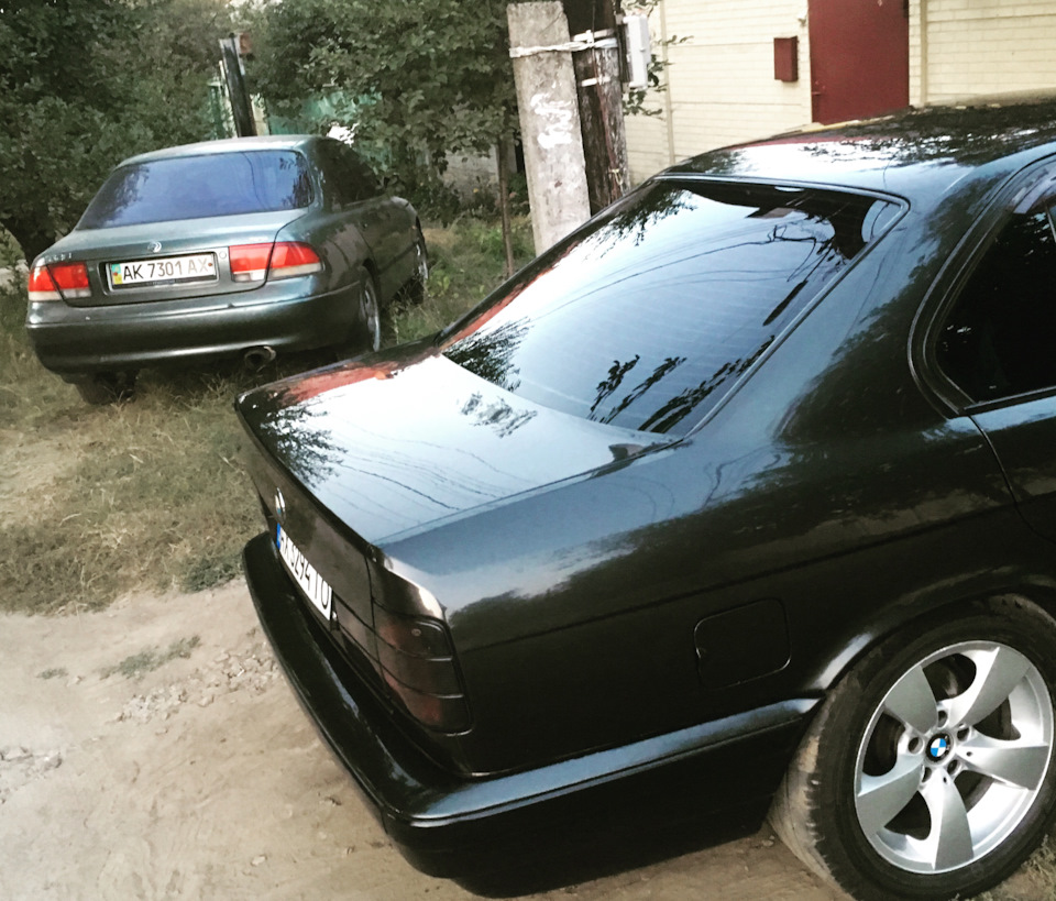 Мої красуні 3