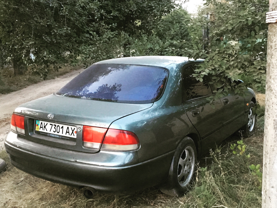 Мої красуні 2