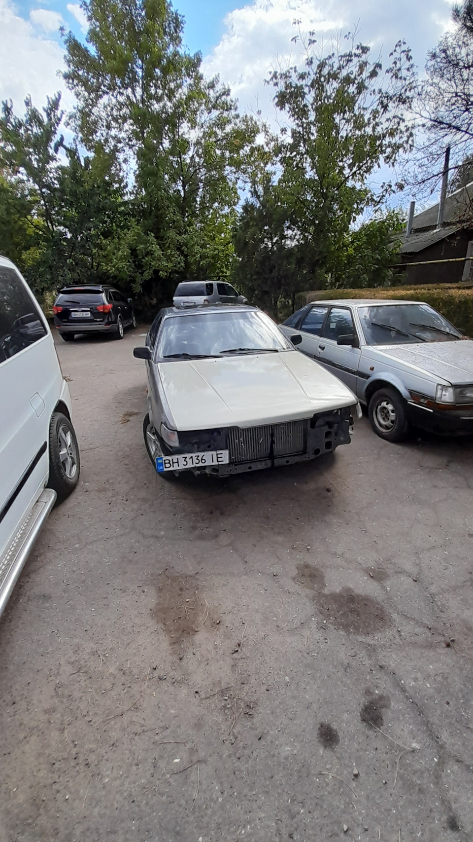 Я тут, я жива 1