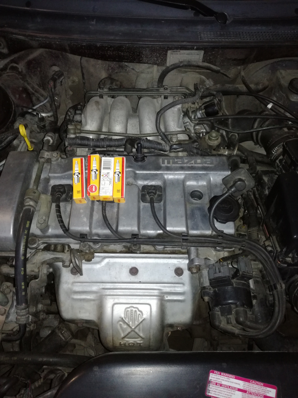 NGK & DENSO 5