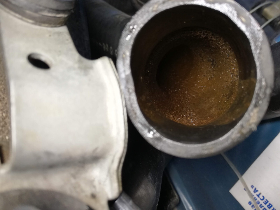 Заміна антифризу з промиванням Radiator Clean + від Bizol 3