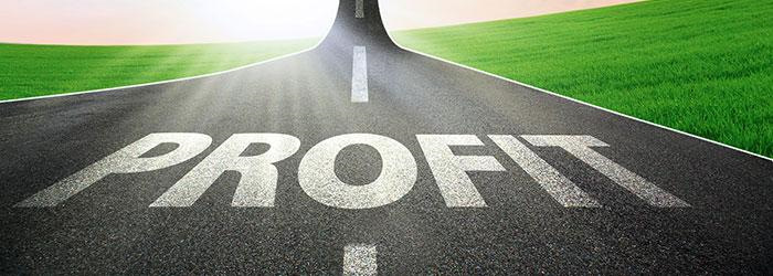 |Амортизатор газомасляний Profit "задня частина"| 1