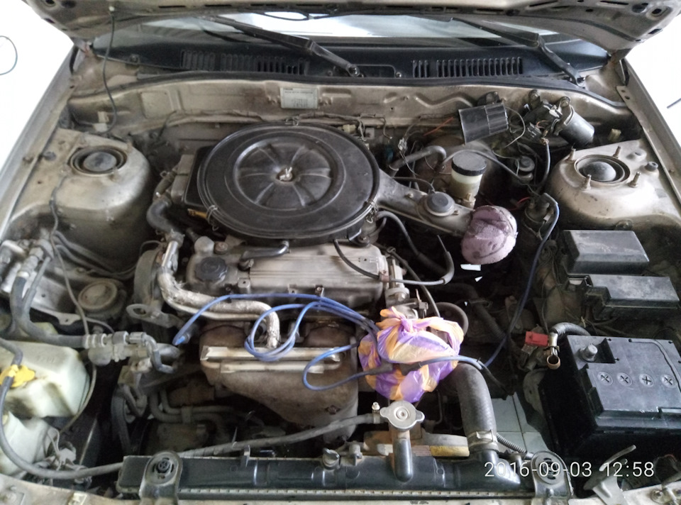 |Водні процедури/// +20HP| 2
