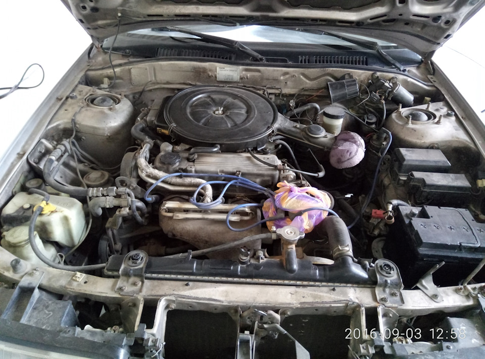 |Водні процедури/// +20HP| 1