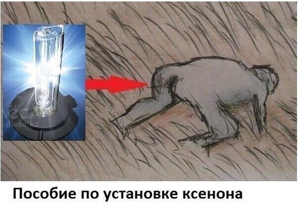 Заміна лампи та блоку розпалювання 1