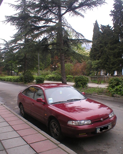 Фотки з Криму 11.05.09 1