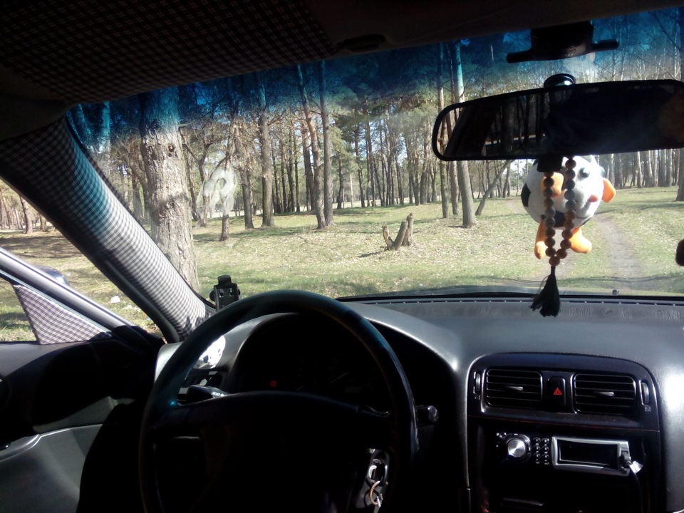 Фото на природі 5