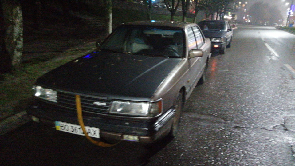 Поповнення в сім'ї))) 1