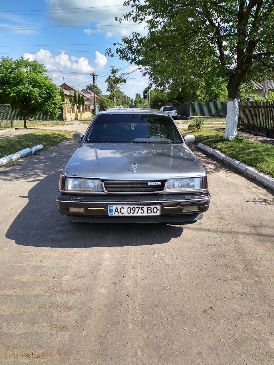 Фото після миття 5
